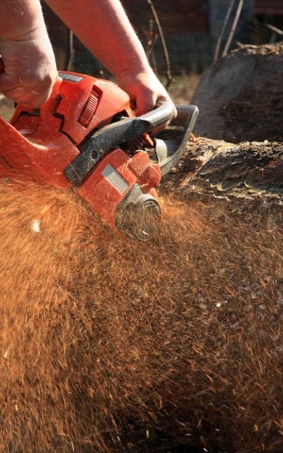 tools-img-saw-1-r7y035ij6918fgyd56zobk3hhtavofm1q7sxna4ydc Home Tools